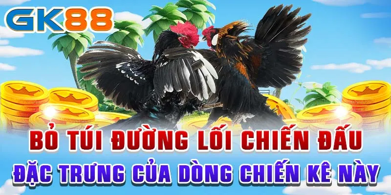 Bỏ túi đường lối chiến đấu đặc trưng của dòng chiến kê này