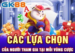 Các lựa chọn của người tham gia tại mỗi vòng cược