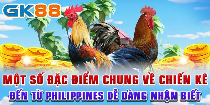 Một số đặc điểm chung về chiến kê đến từ Philippines dễ dàng nhận biết