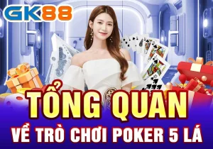 Tổng quan về trò chơi poker 5 lá