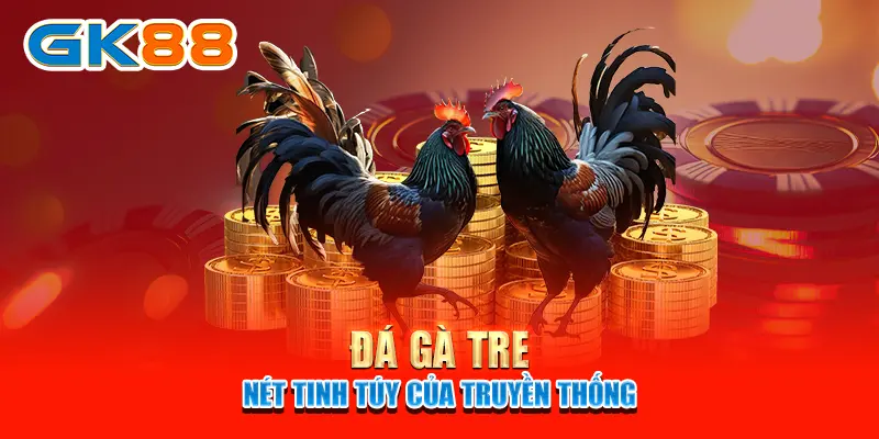 Đá gà Tre - Nét tinh túy của truyền thống