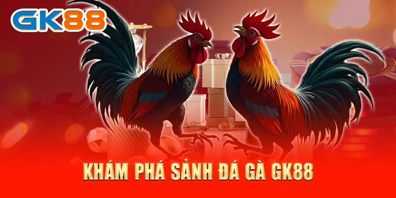 Khám phá sảnh đá gà GK88