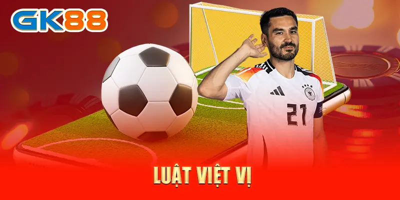 luat viet vi