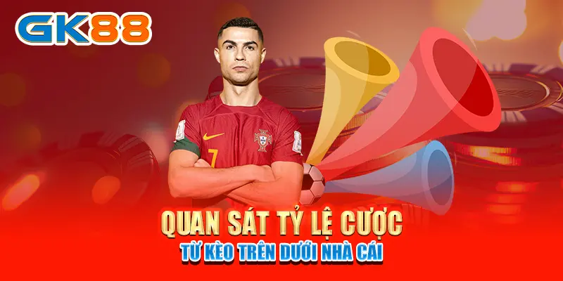 Quan sát tỷ lệ cược từ kèo trên dưới nhà cái